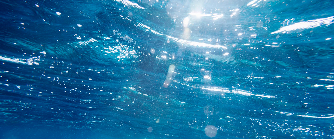 法國專利海源素Mannimag