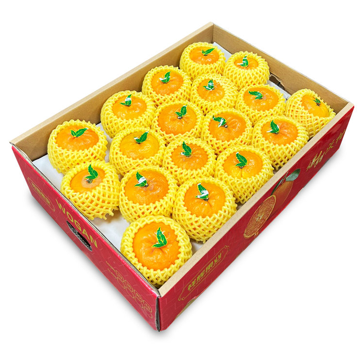 中國蜜柑 [ 原箱|約70-80個 ]