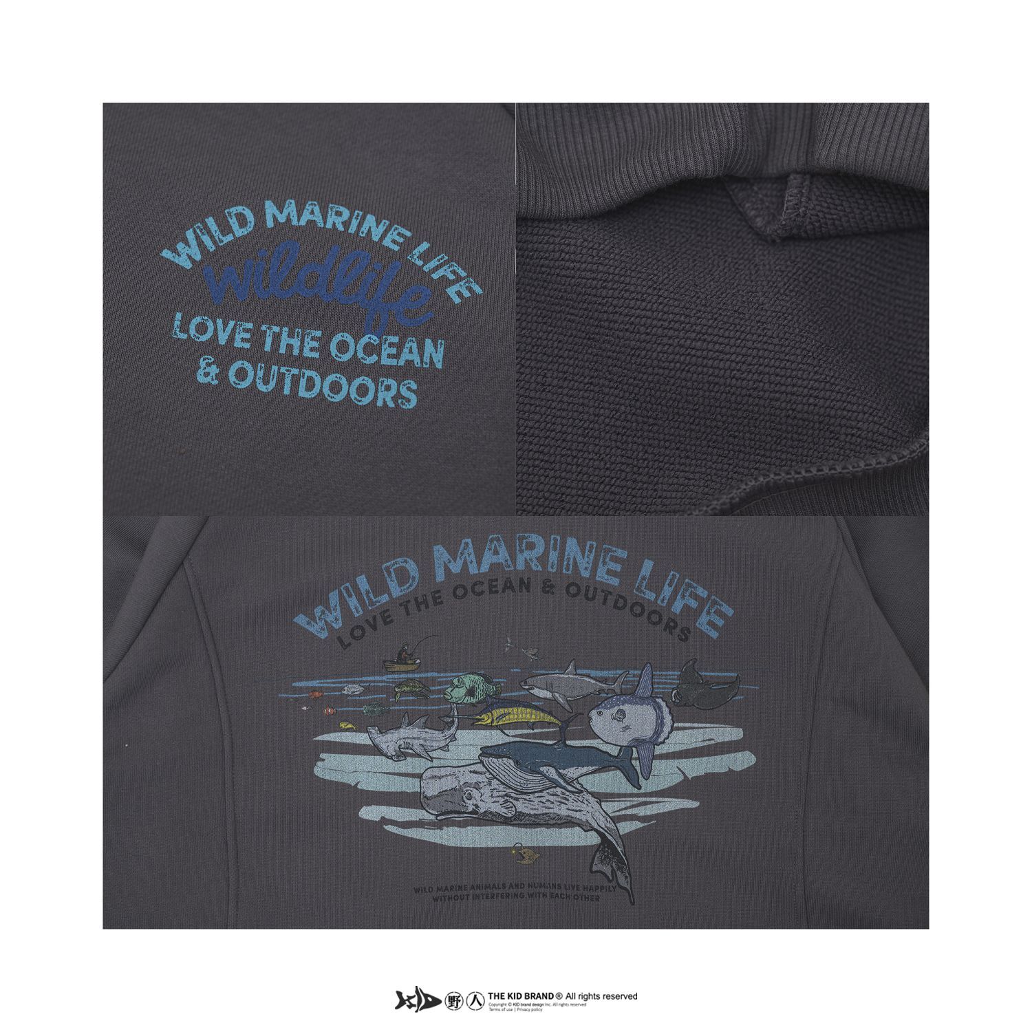 KID ® 海洋物種圖鑑帽T