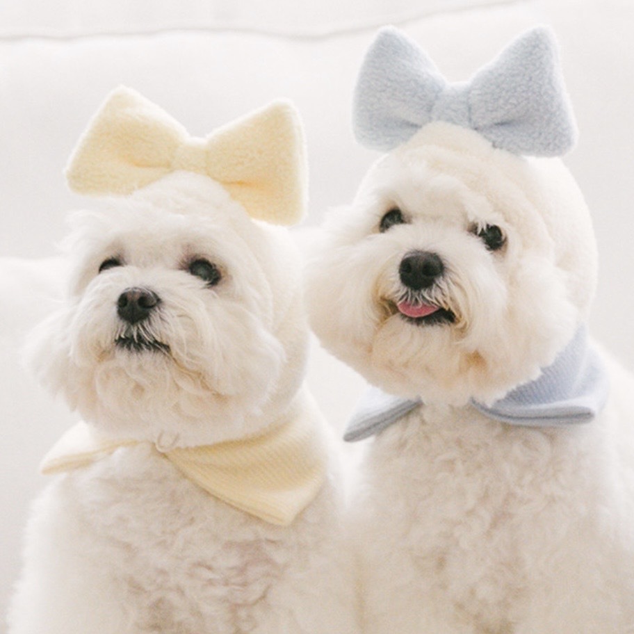 蝴蝶結頭飾 /  3色