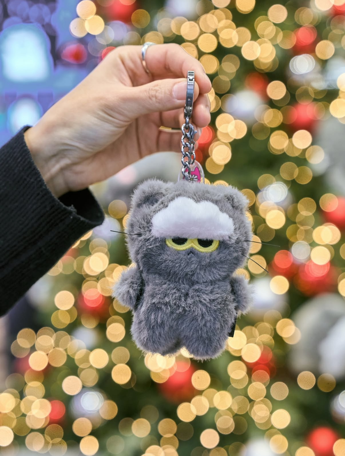 本週限時接單!! ZO&FRIENDS ZOAFUL WINTER 冬日限定 GD愛貓 A&NE ZOA 權志龍 /預購