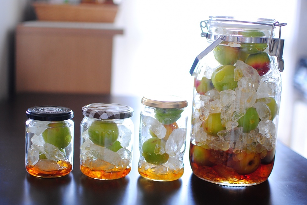 如果你也想嘗試在家釀製梅酒，最經典且成功率最高的比例是 1：1：0.5（梅：酒：糖）。