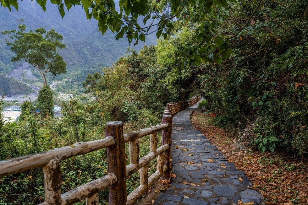 茂林賞蝶步道是紫蝶幽谷最容易看到蝴蝶集體休眠的壯觀景象的地方。