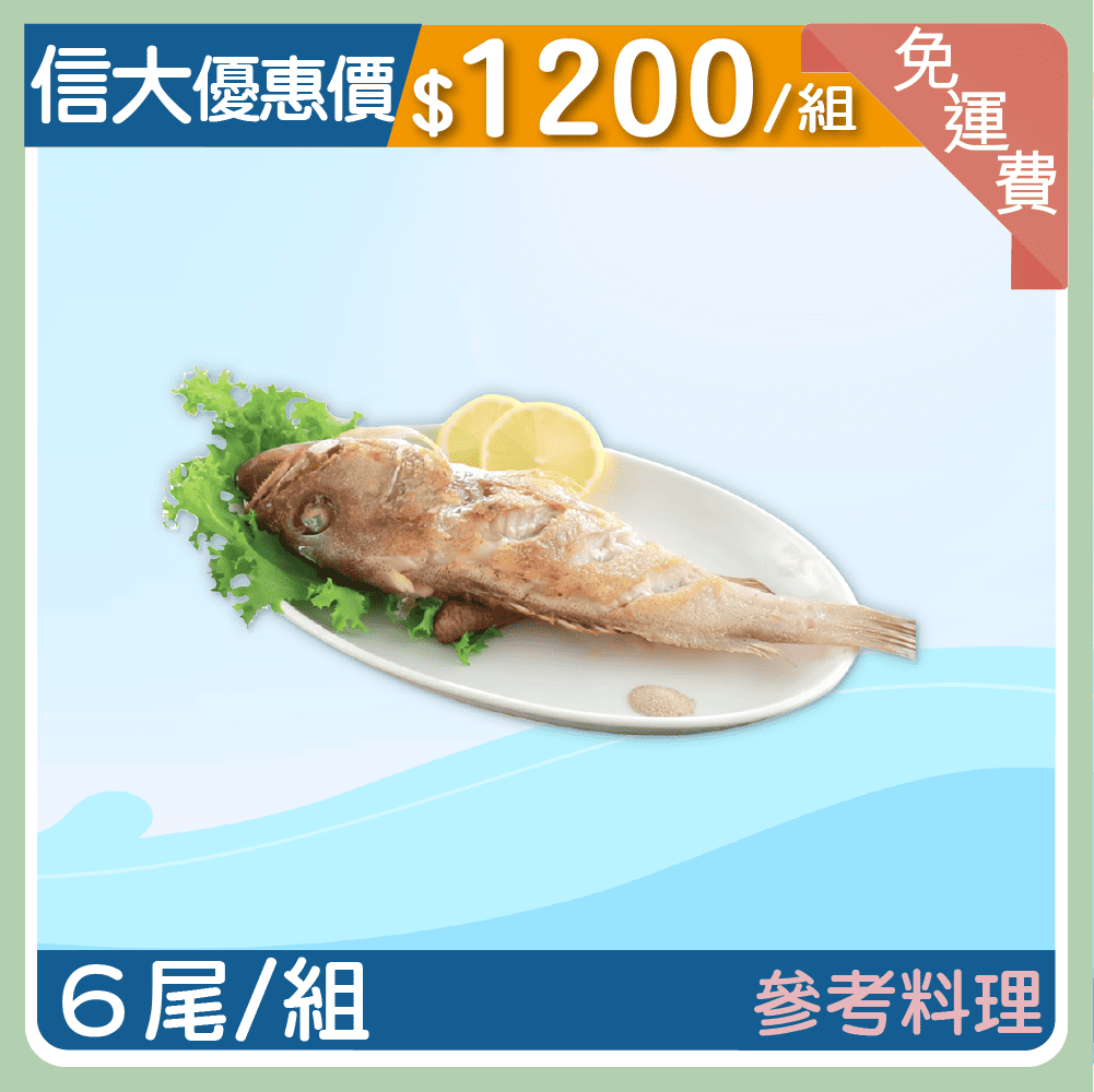 【信大】野生石斑魚6入組