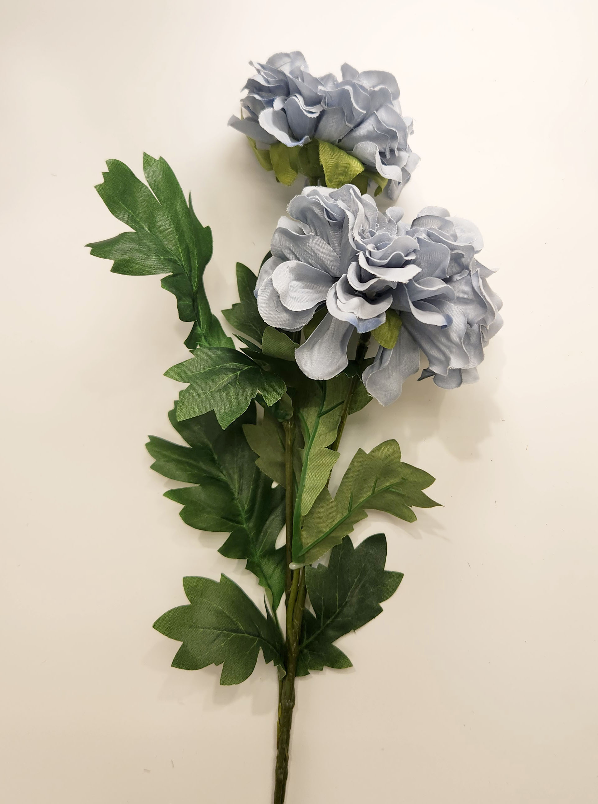 擬真圓瓣大理花