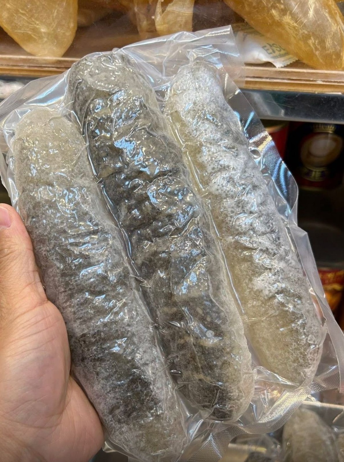 澳洲大禿參 (已清腸)3條 [#T001]