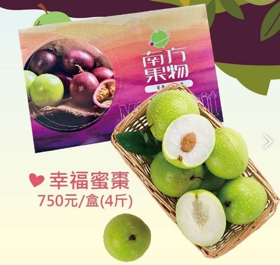 屏東分院｜屏東高樹冠軍蜜棗(115年1月初開始出貨)