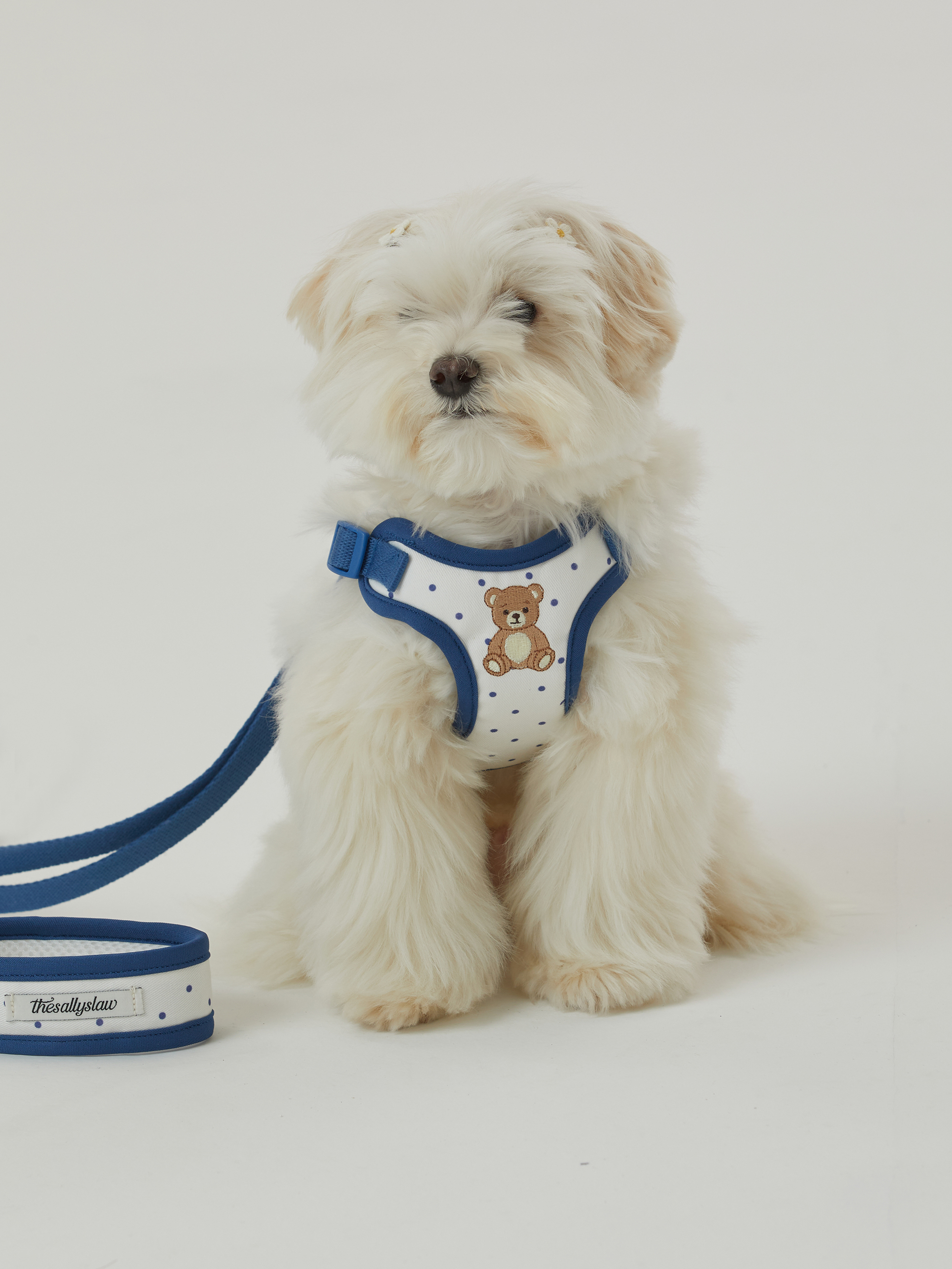 The Sallyslaw 復古泰迪熊舒適胸背＿藍點點