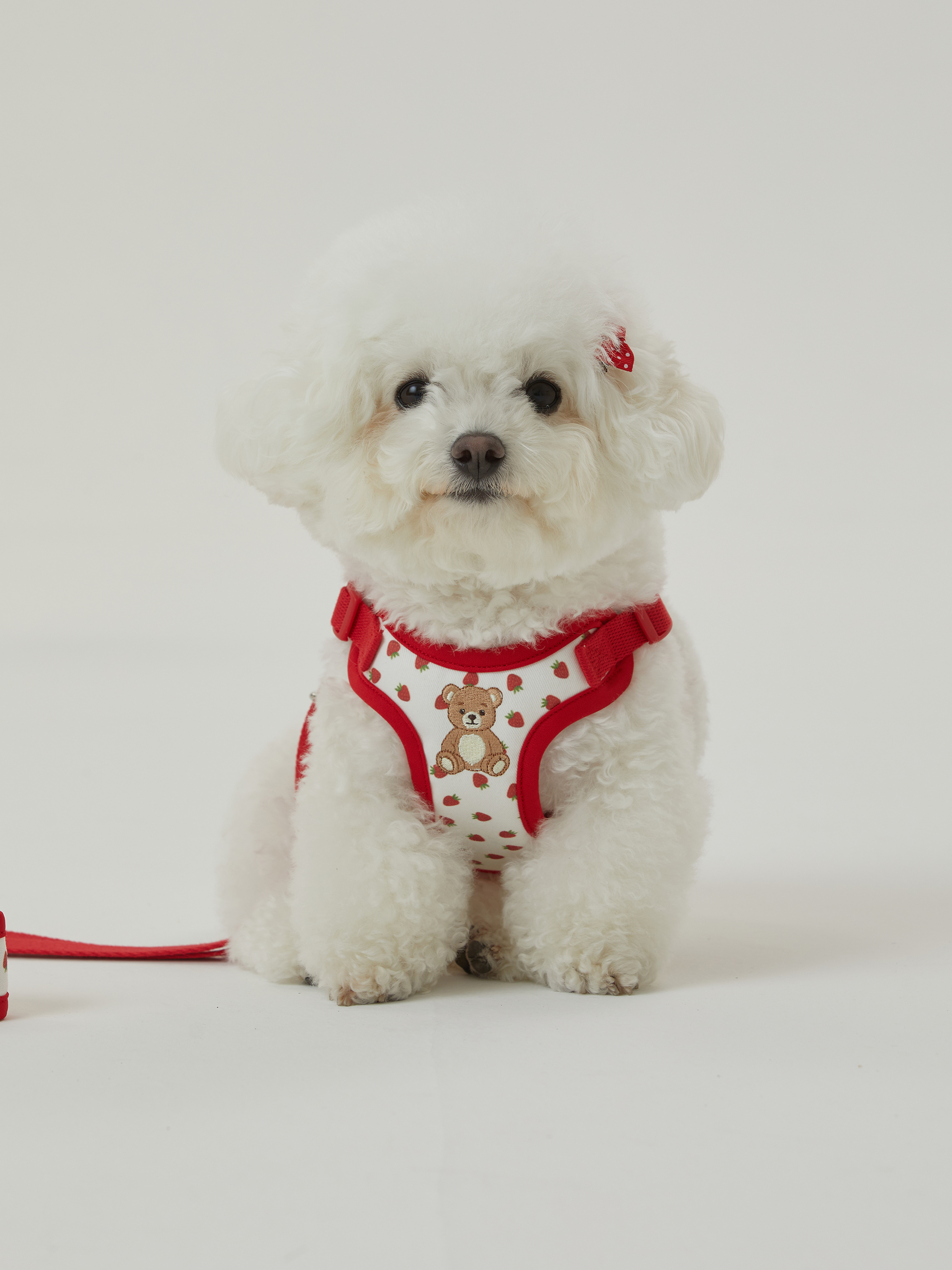 The Sallyslaw 復古泰迪熊舒適胸背＿草莓