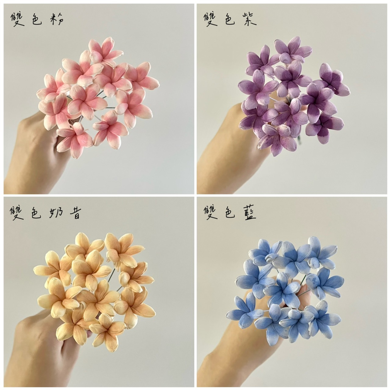 泰國索拉花 小茉莉花 3CM <十支一把> (高品質)