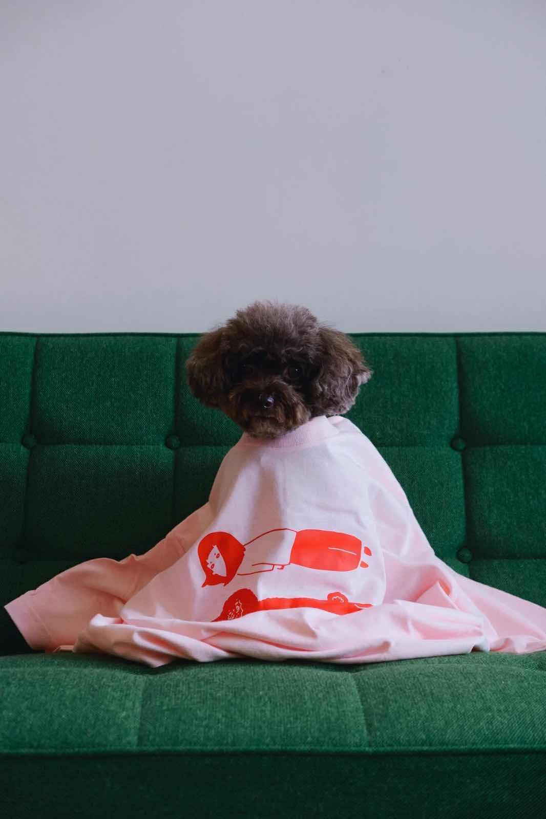 Ilovemyselfself-T-shirt-Sing With My Dog