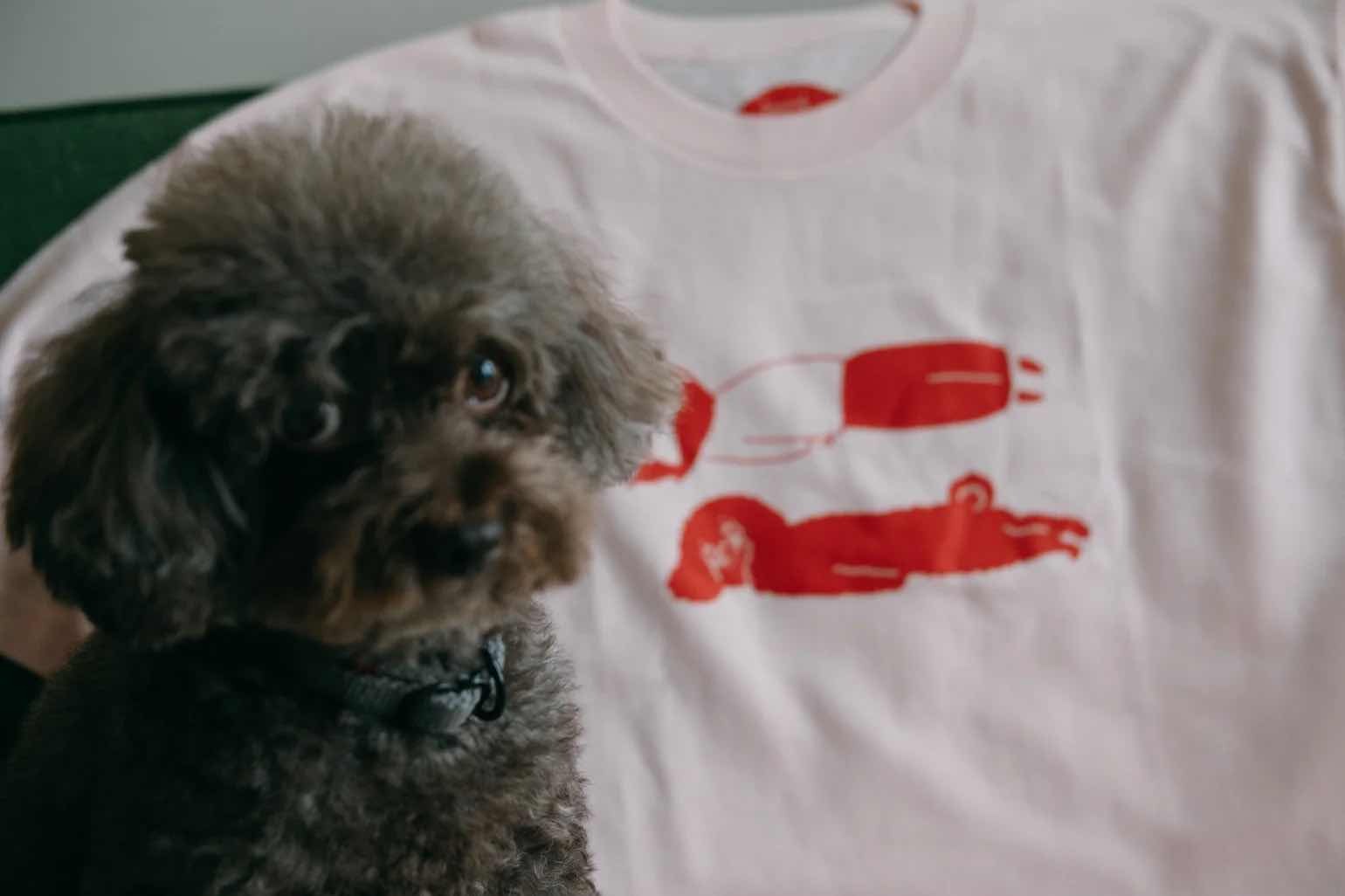Ilovemyselfself-T-shirt-Day Off With My Dog