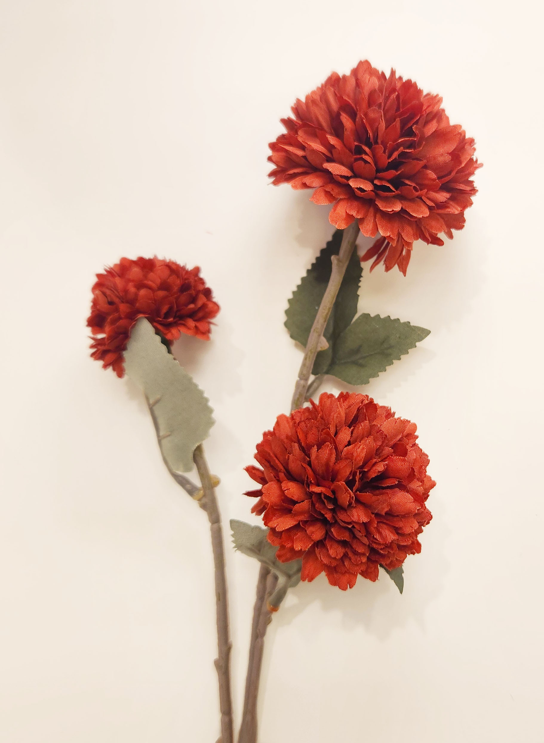 擬真小乒乓（二色）