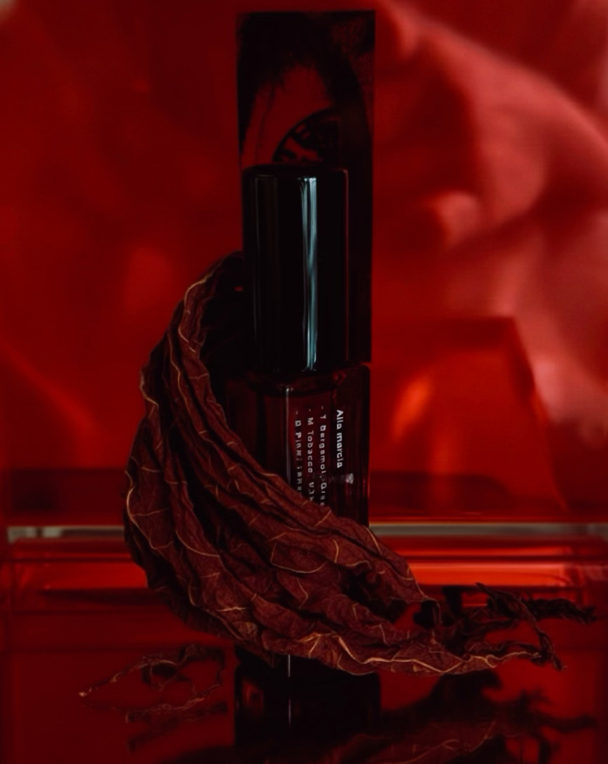 ELEVATO.T KILIG 聖誕限定 香氛 香水