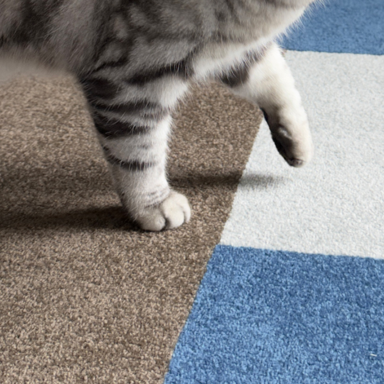 90s科技地毯-午夜藍01