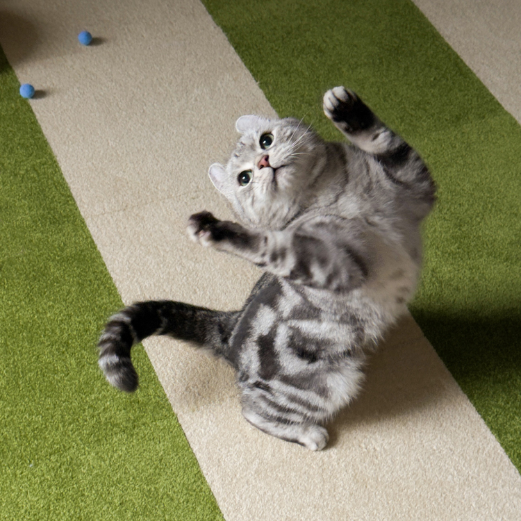 90s科技地毯-抹茶綠04