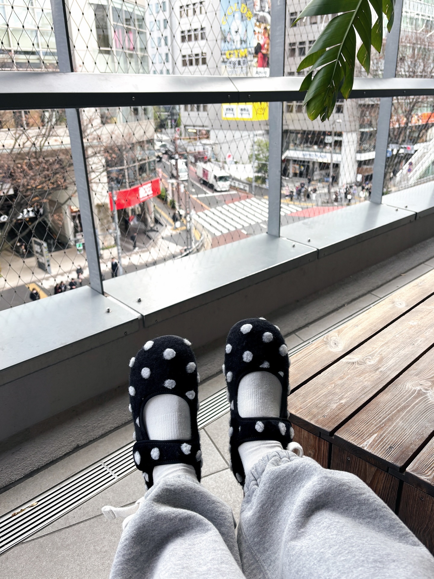 niko and ... 日本限定 圓點 黑色 白色 刷毛 可愛 瑪莉珍鞋