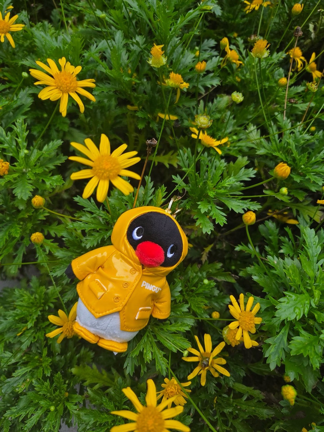 【預購】CGV x PINGU 韓國限定 聯名限定 企鵝家族 雨衣PINGU吊飾