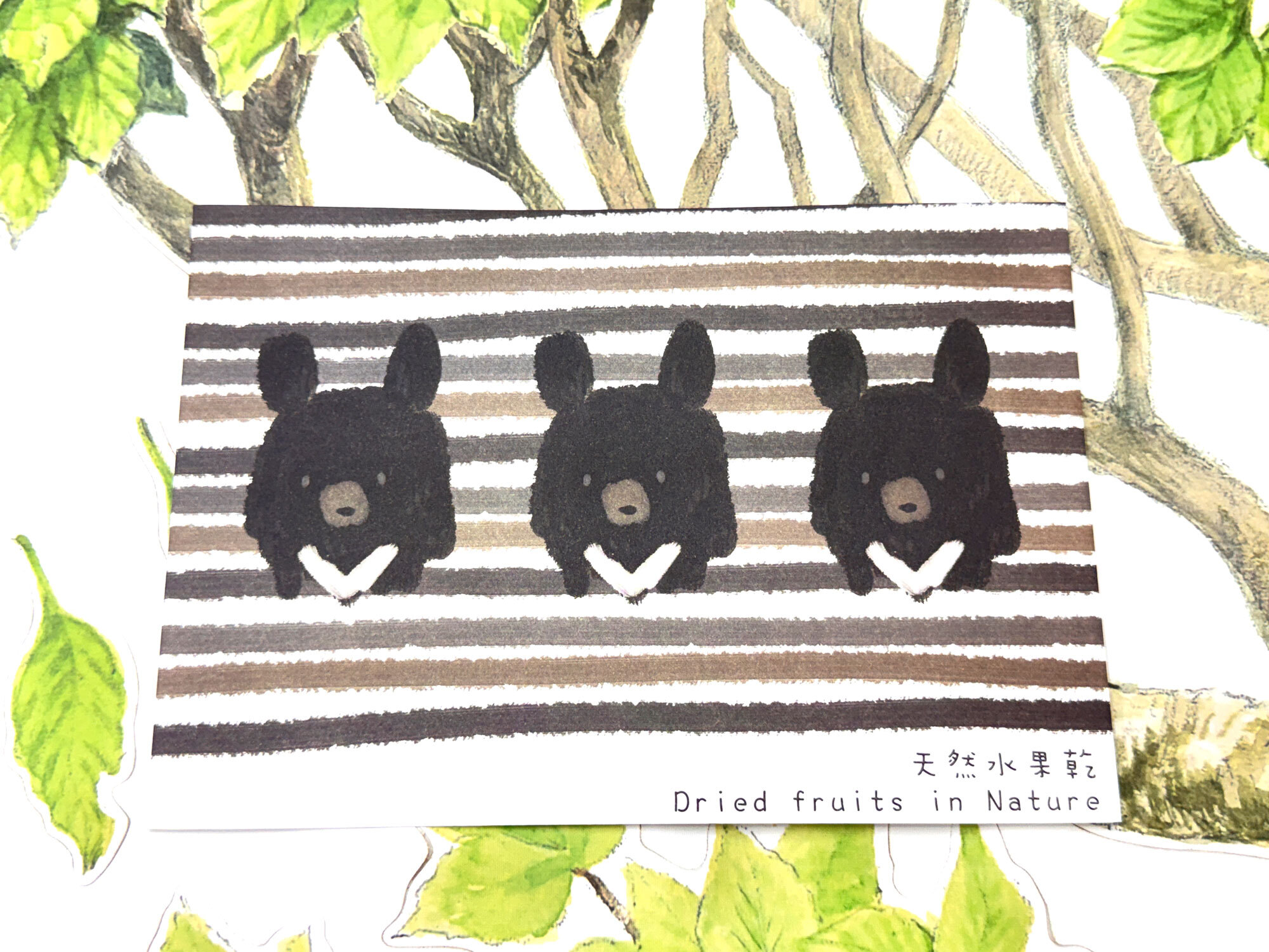 三黑熊蝴蝶式信封