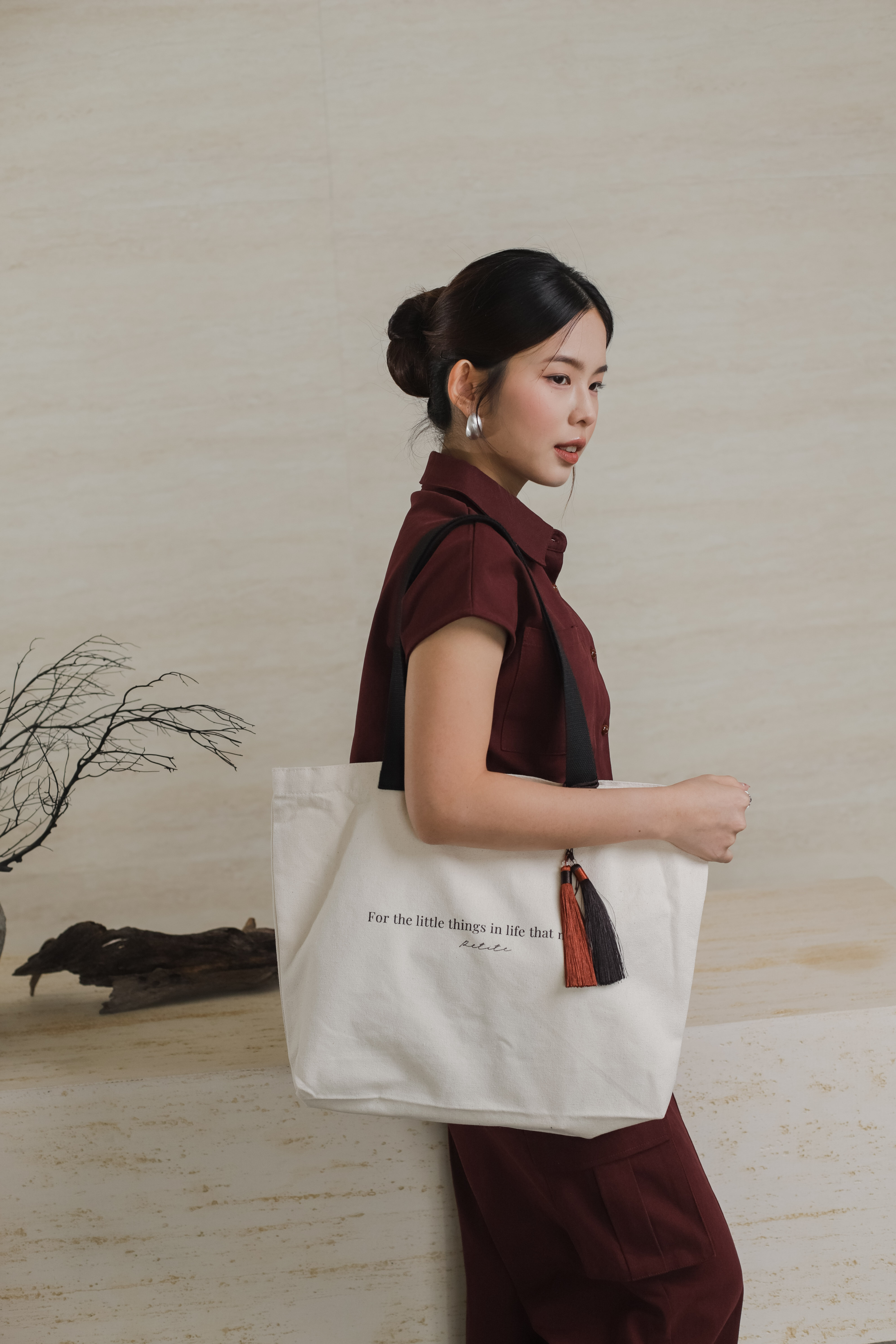 Luna Exclusive Canvas Bag -D108