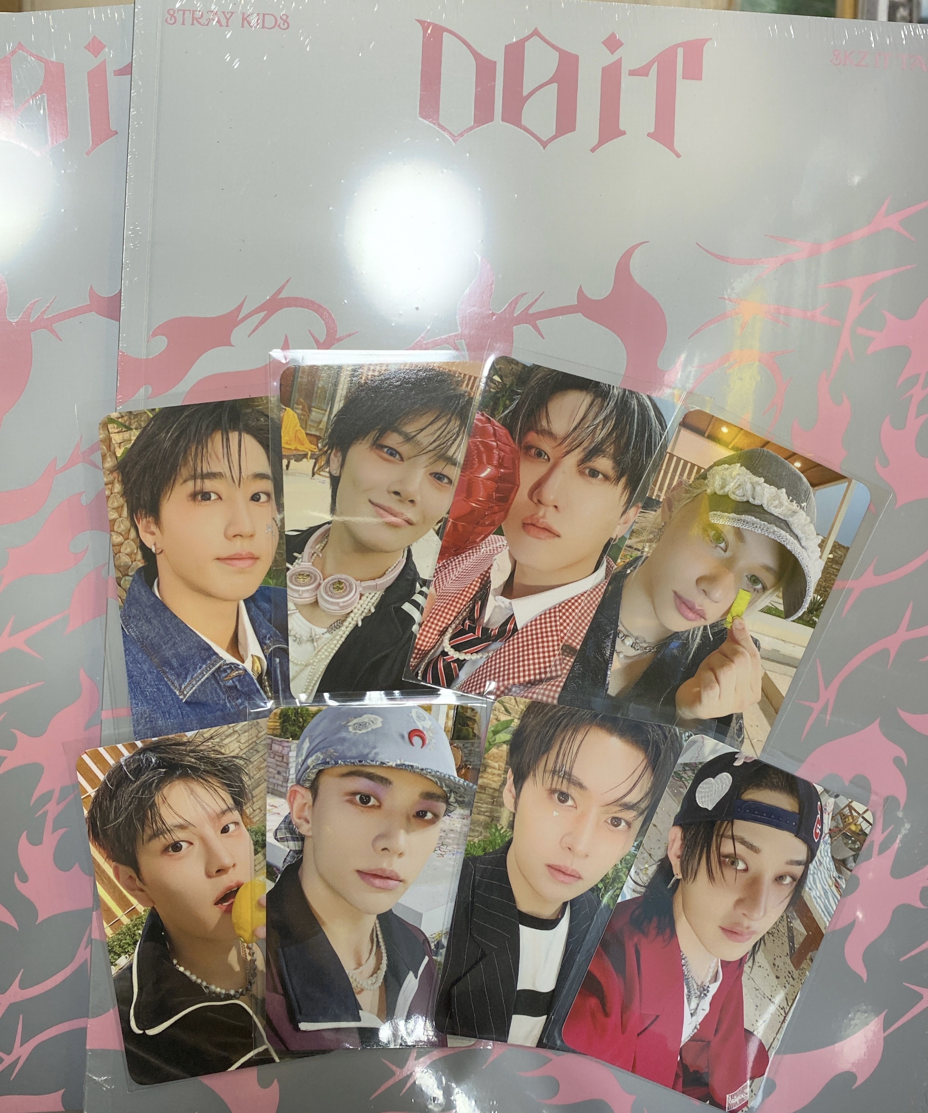 🎁Stray kids Do it album ( It ver )