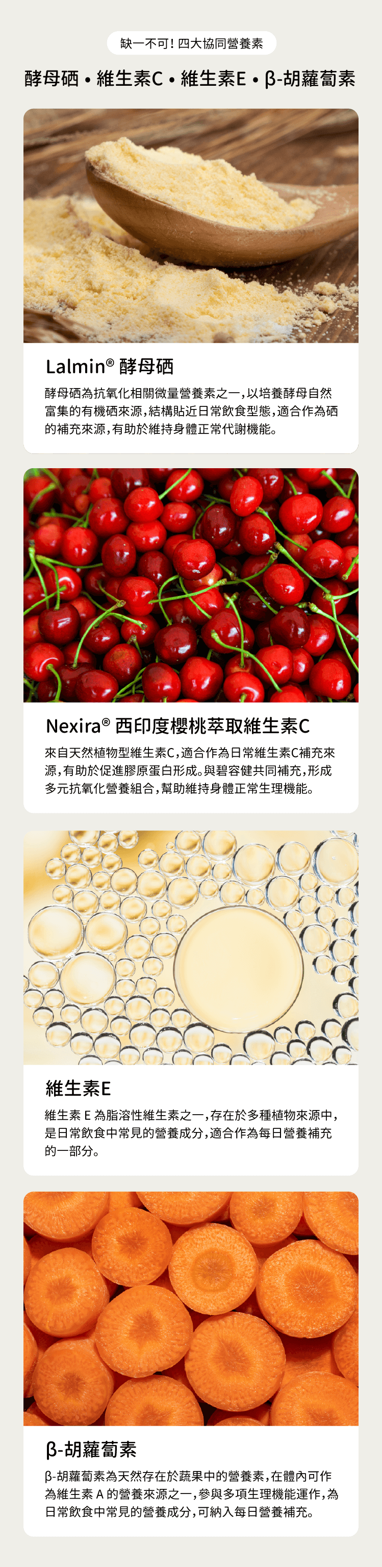 碧容健植萃多酚膠囊，協同配方4大成分