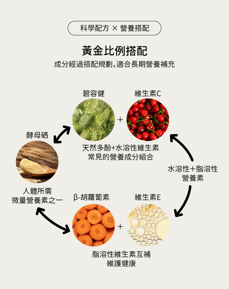 碧容健植萃多酚膠囊，黃金成分搭配表