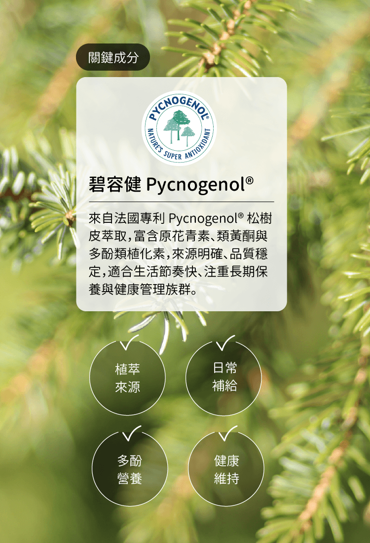 碧容健營養與原料優點介紹