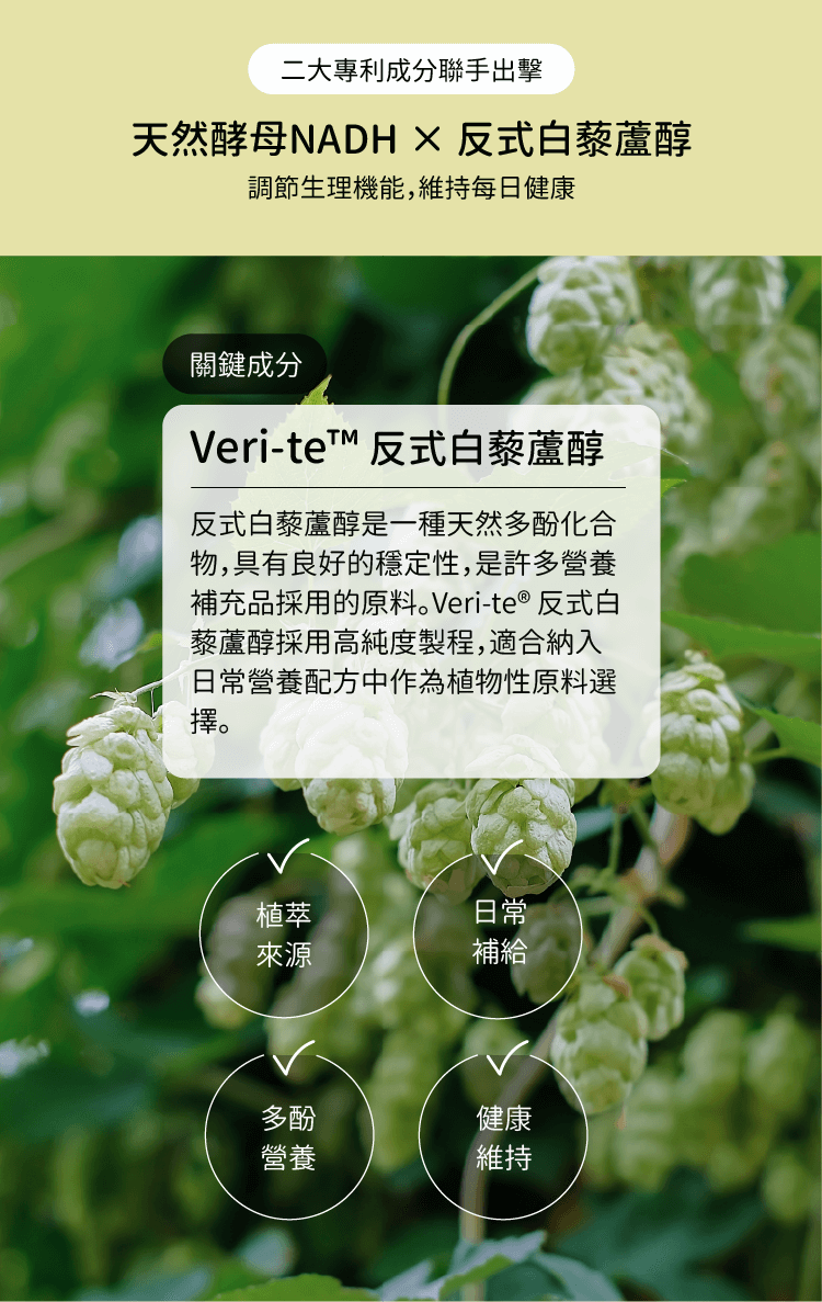 反式白藜蘆醇介紹