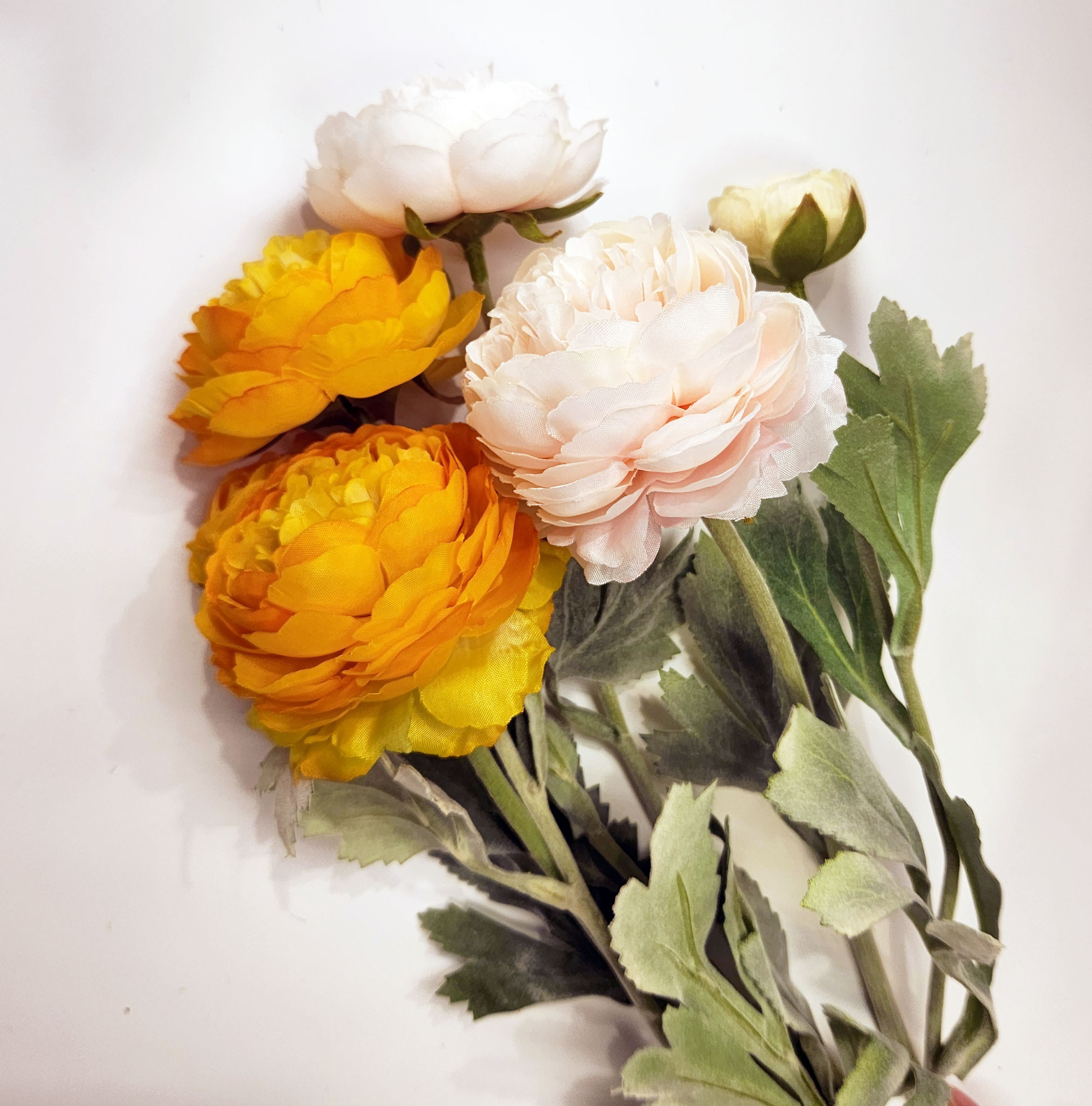 擬真芍藥（二色）