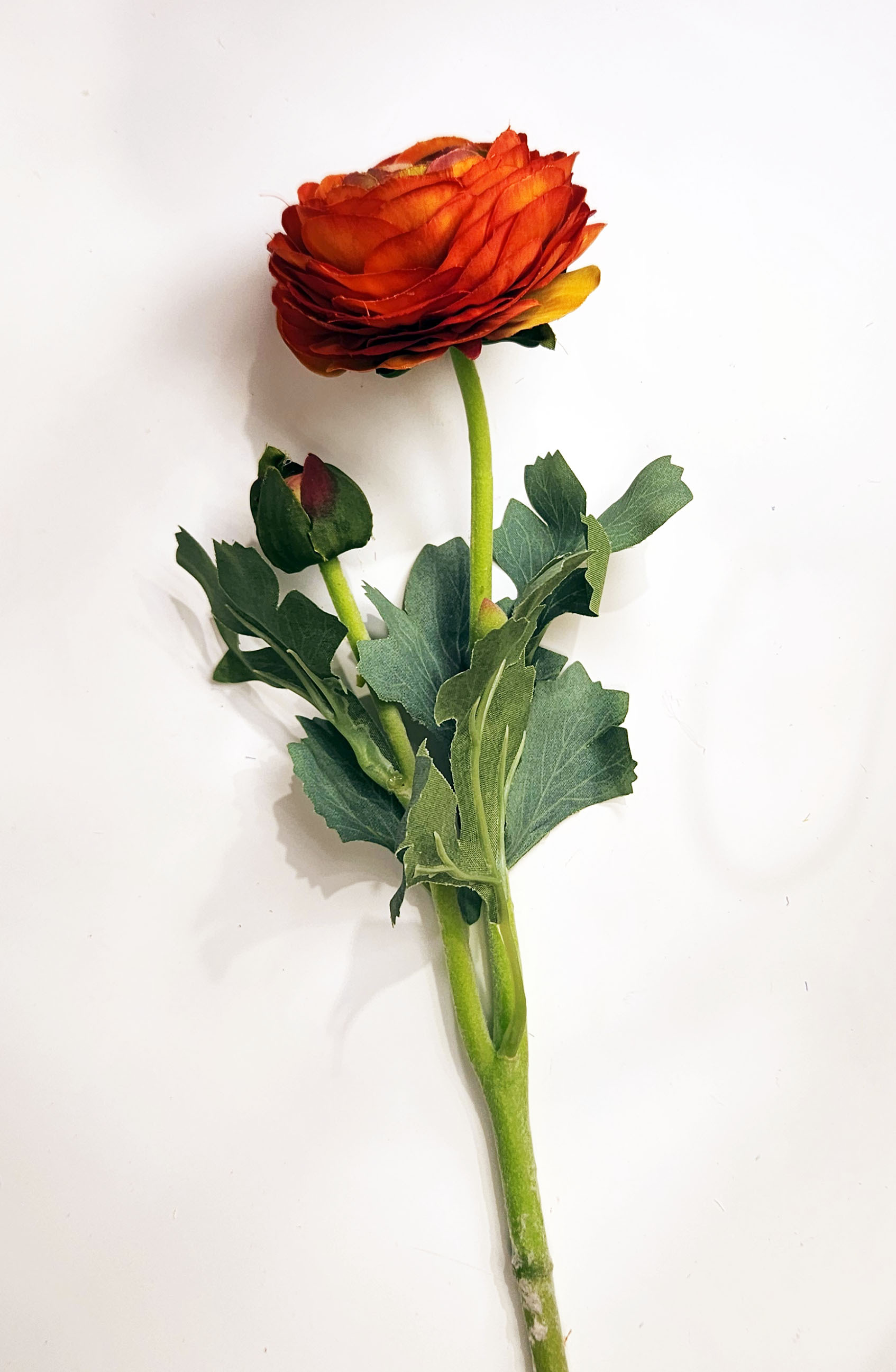 擬真大花紅陸蓮