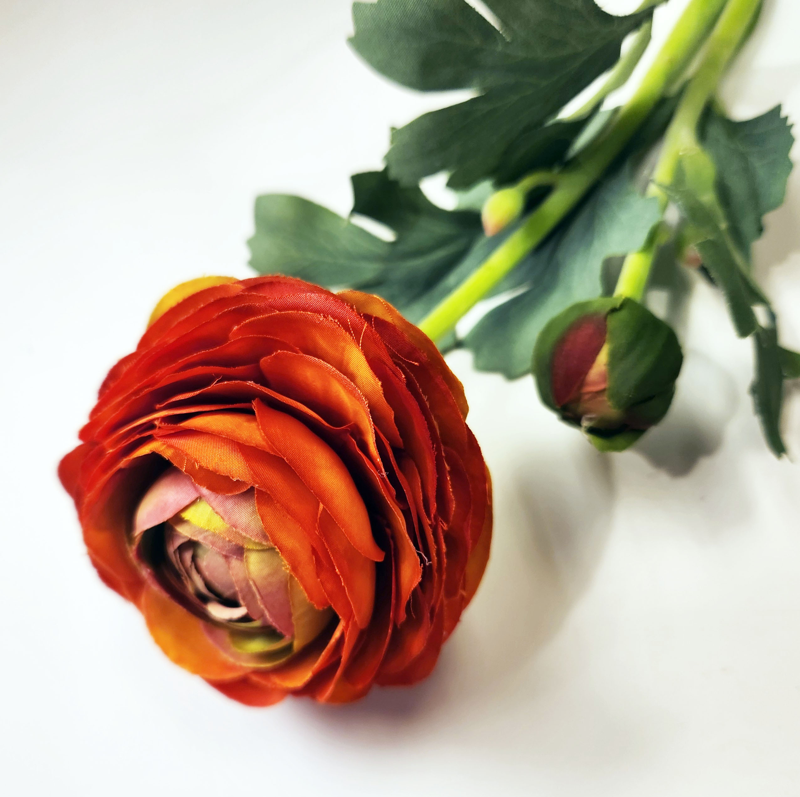 擬真大花紅陸蓮