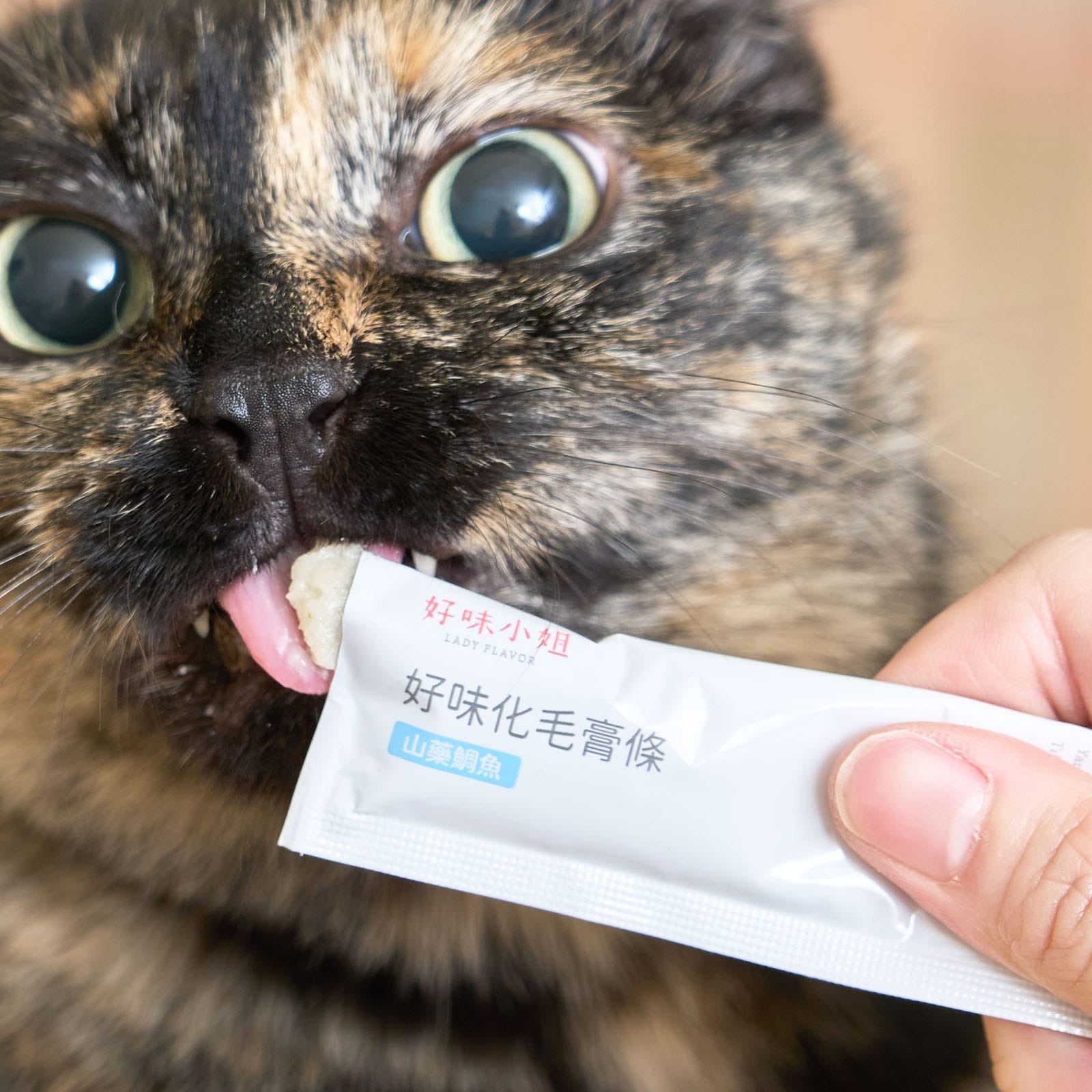 好味小姐 - 好味化毛膏條 - 山藥鯛魚 (8入) (任選2件$128)