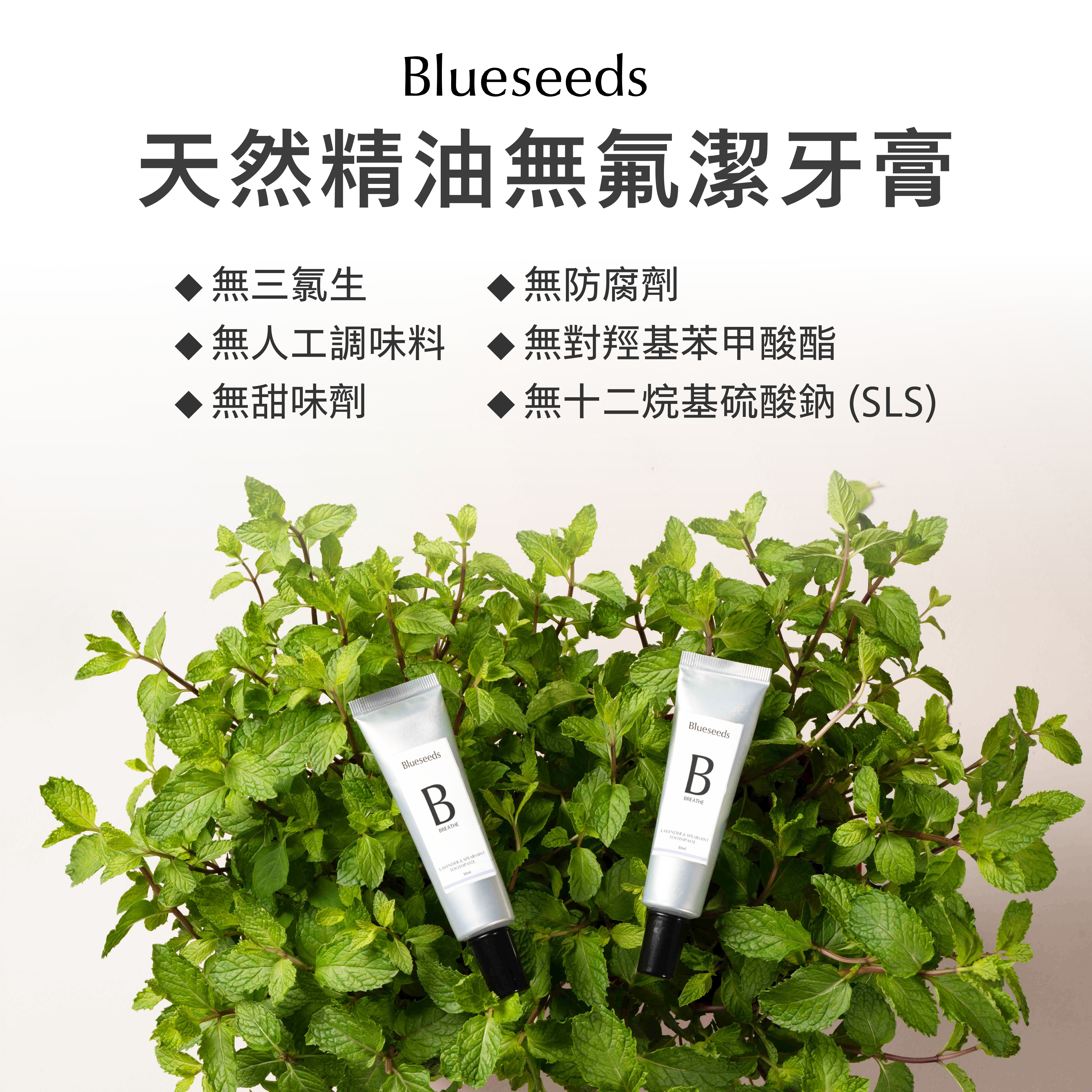 【新客明星組】柑橘薄荷緩適護手霜30ml+柑橘薄荷潔牙膏30ml+柑橘滾珠按摩精油2ml