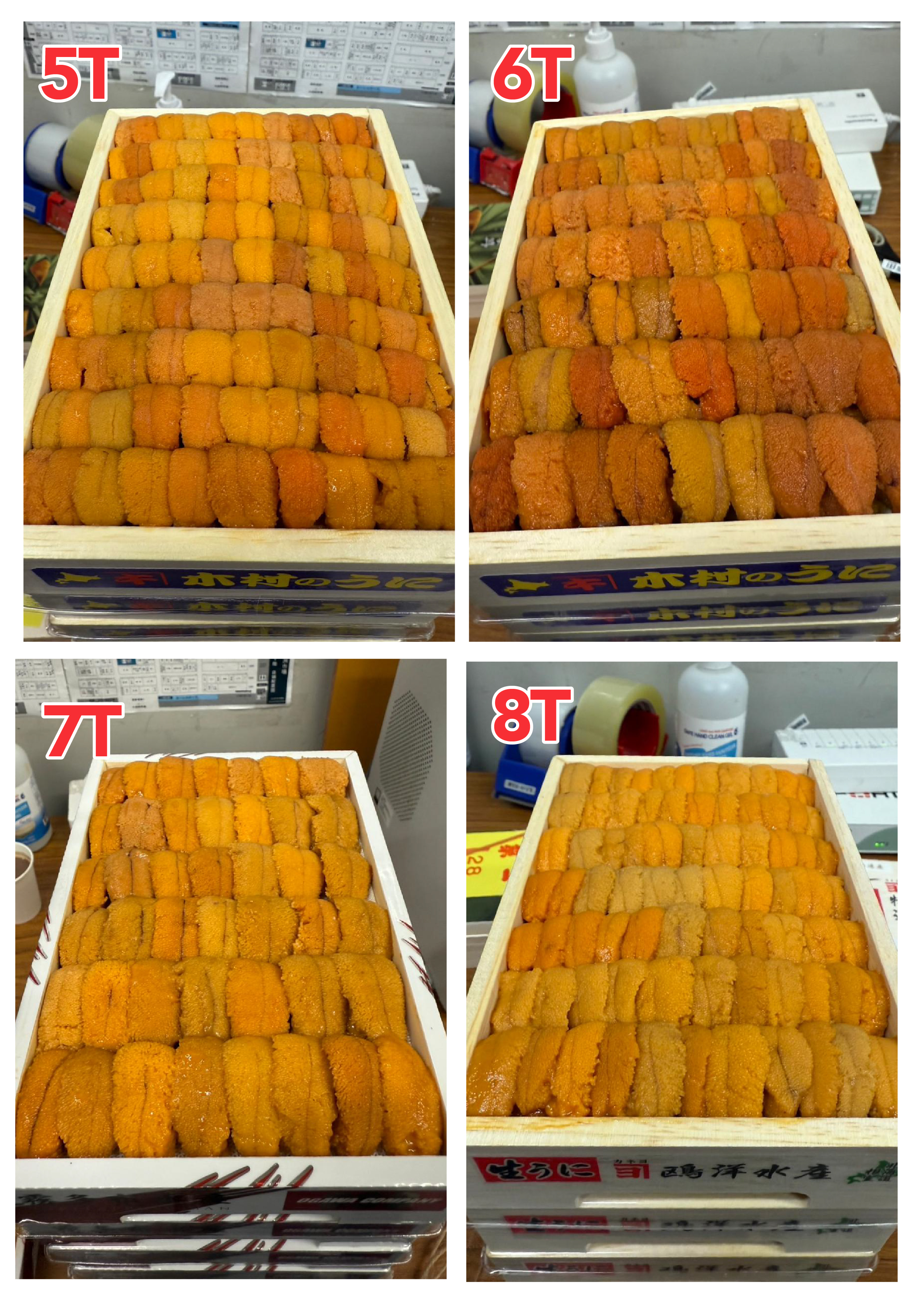 【指定海膽推薦】每天更新 (限即日落單, 翌日送)