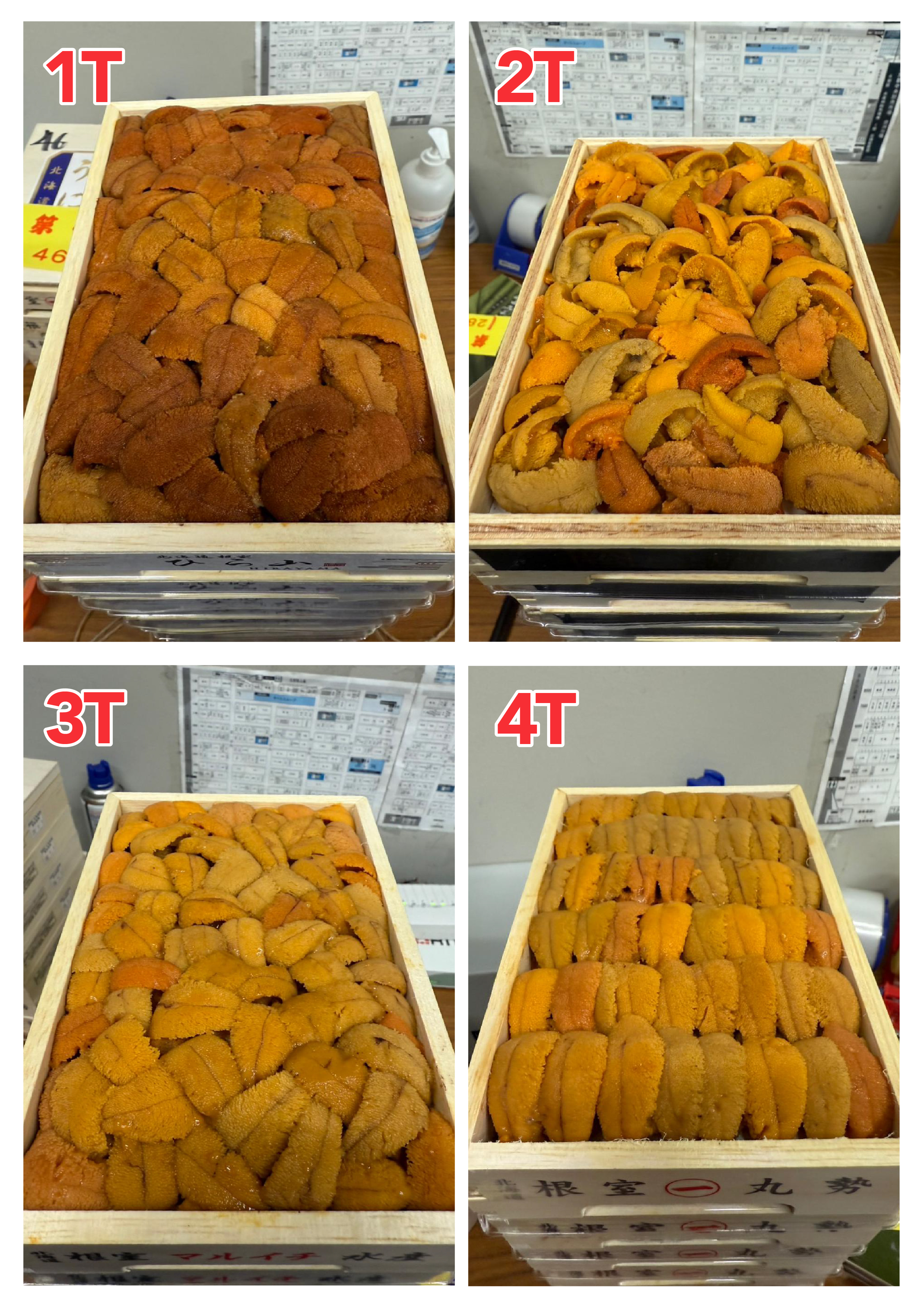 【指定海膽推薦】每天更新 (限即日落單, 翌日送)