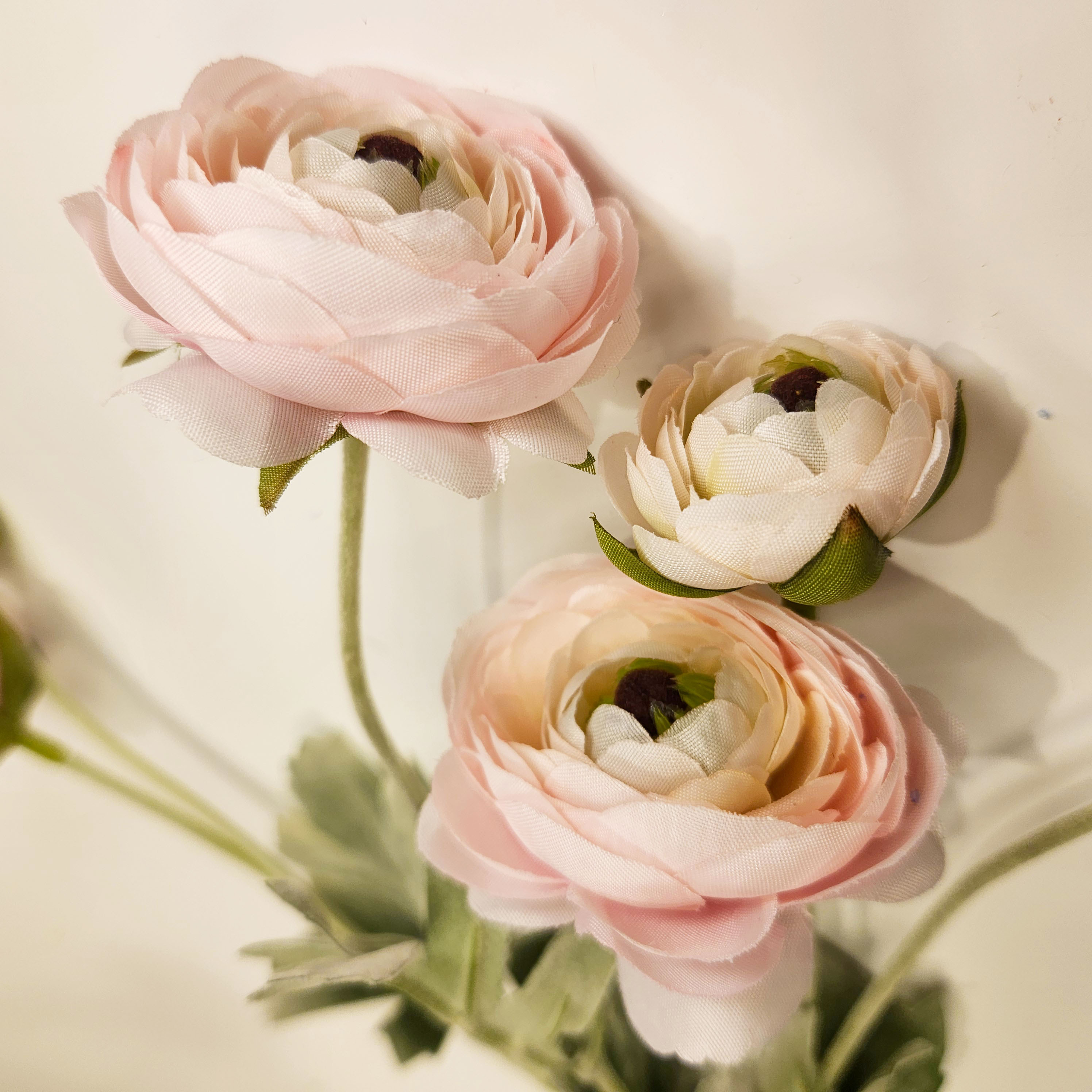 擬真陸蓮 （三色）