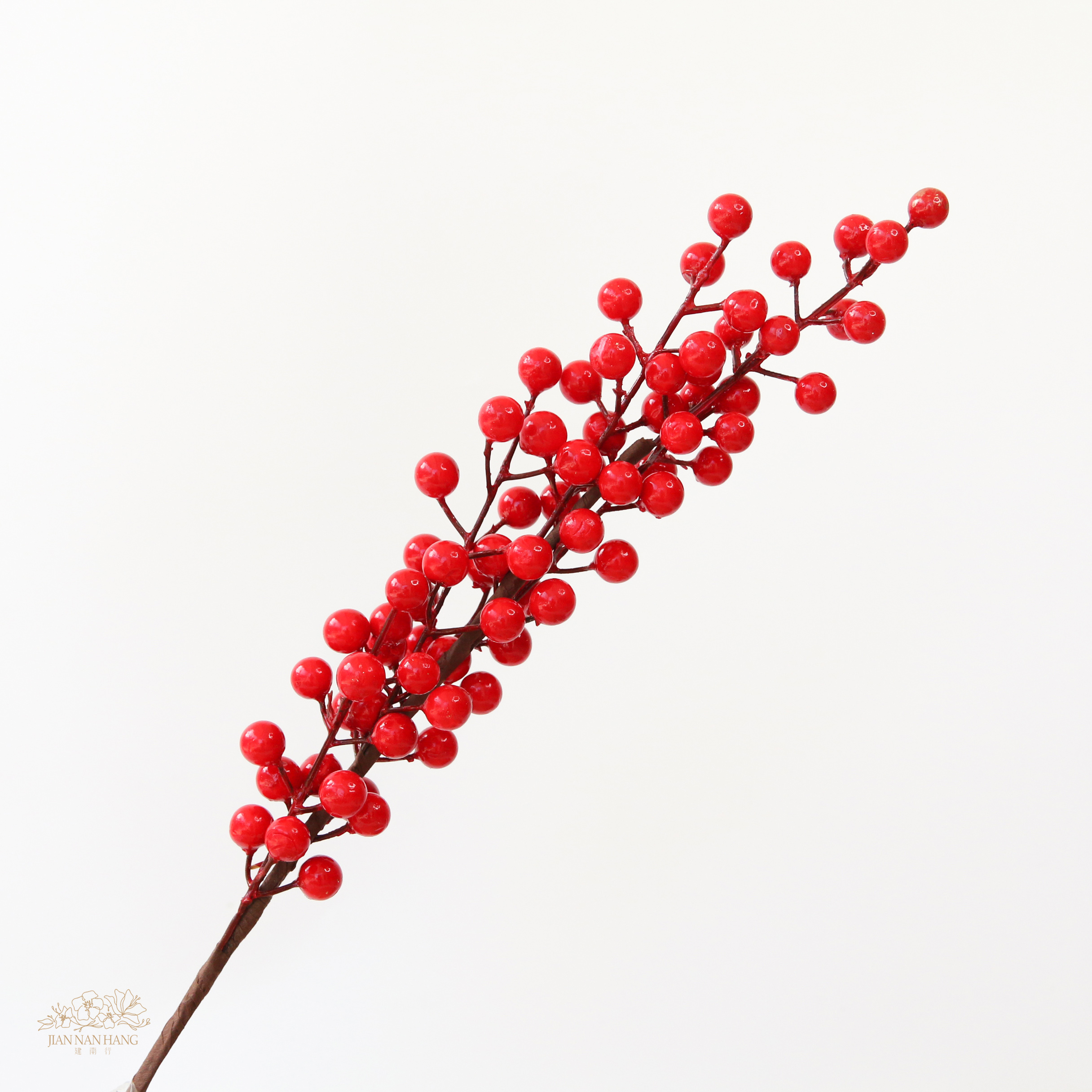 人造果 五叉紅果