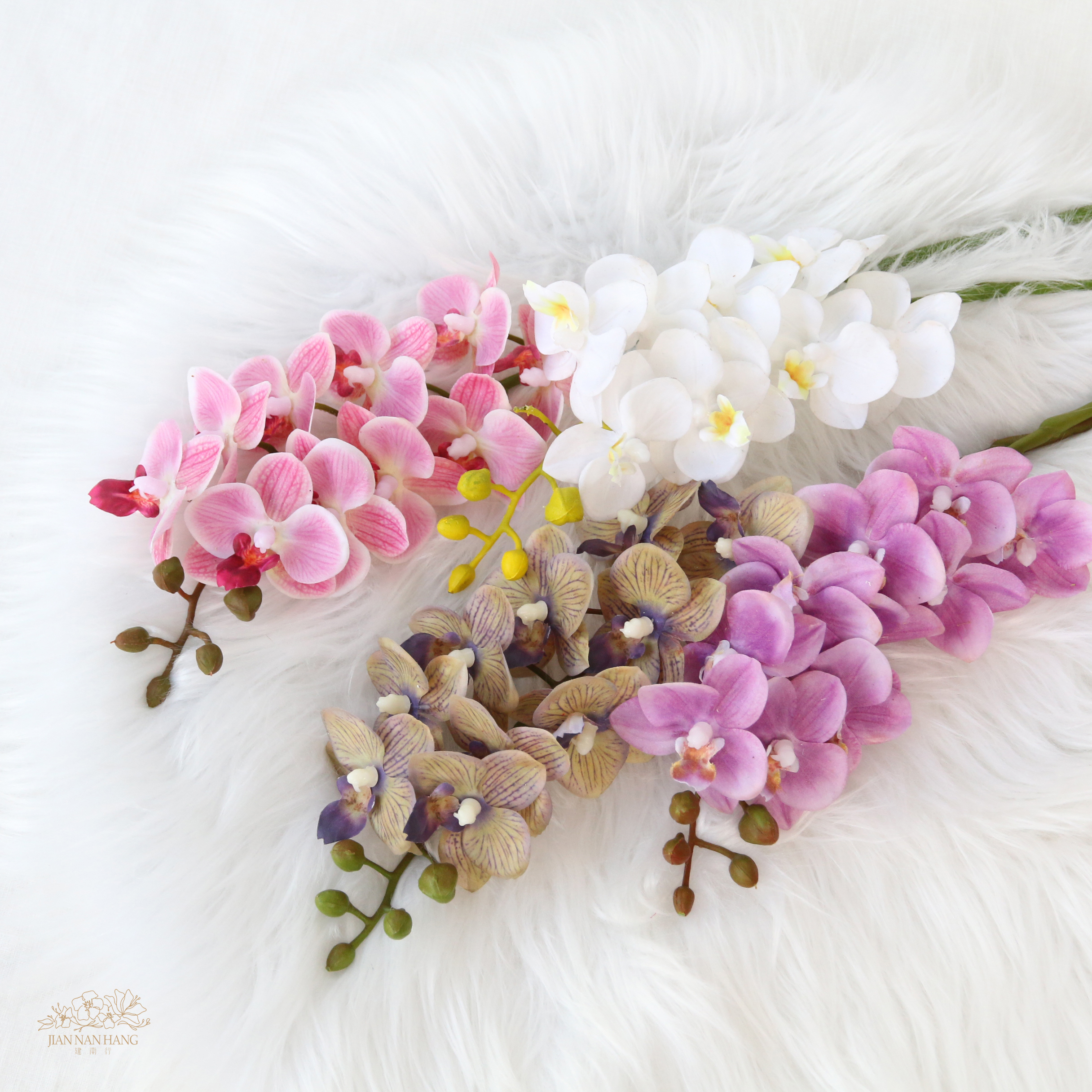 人造花 迷你蝴蝶蘭 4色