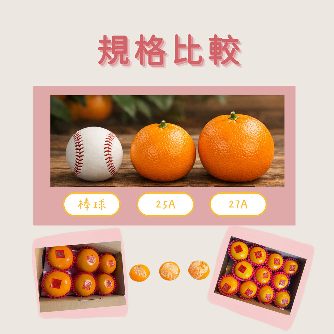 茂谷柑禮盒包裝實拍