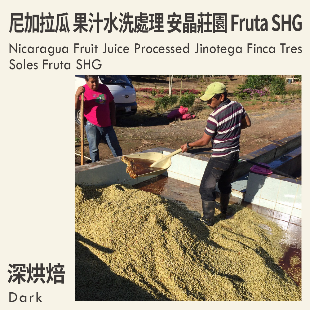 尼加拉瓜 果汁水洗處理 希諾特加 安晶莊園 Fruta SHG
