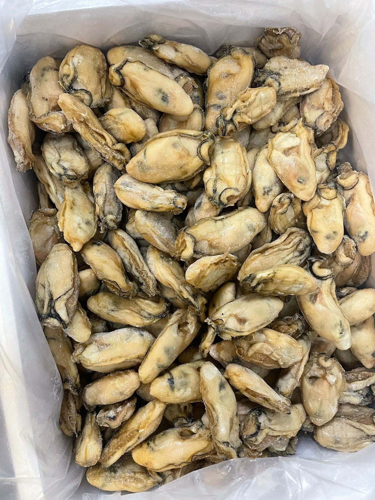 (5972) 珍寶大金蠔 454g【10-15隻】