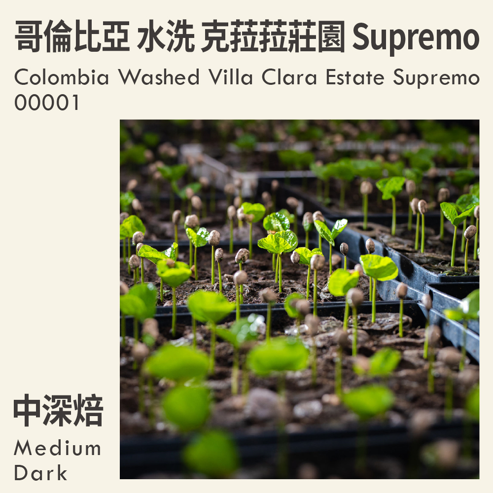 哥倫比亞 水洗 克菈菈莊園 Supremo 00001