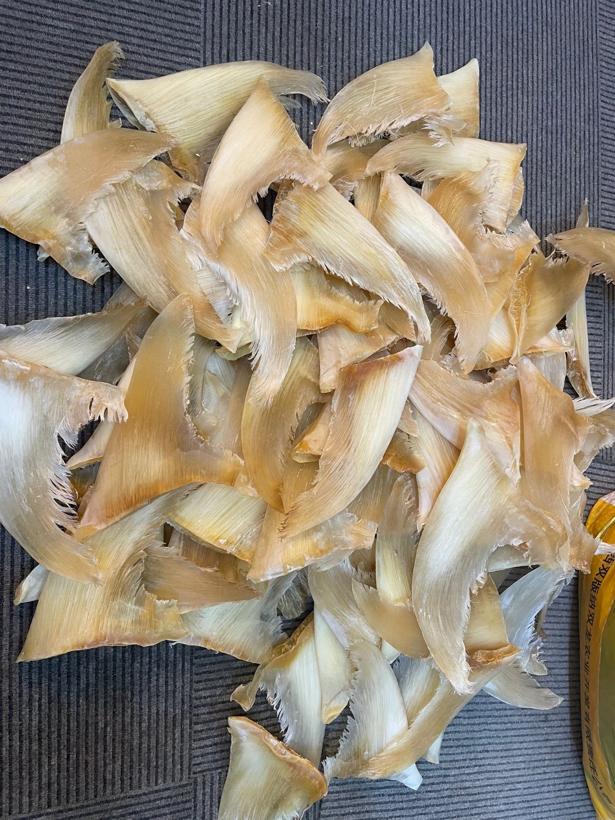 (5976)  8-10寸大鈎翅300g【4-6隻】