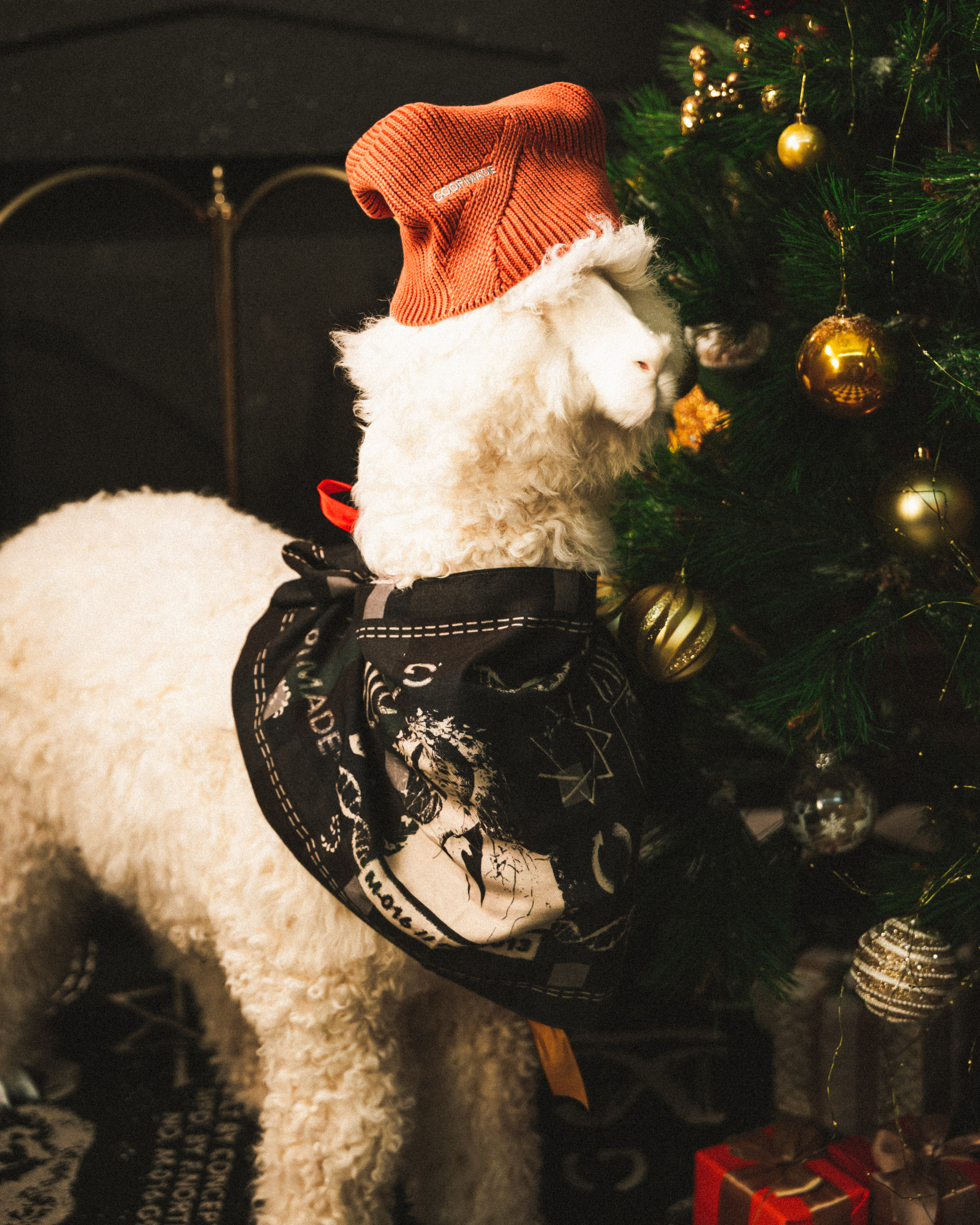 GOOPiMADE Xms-A GOOPiMADE Hidden Logo Beanie - Pumpkin