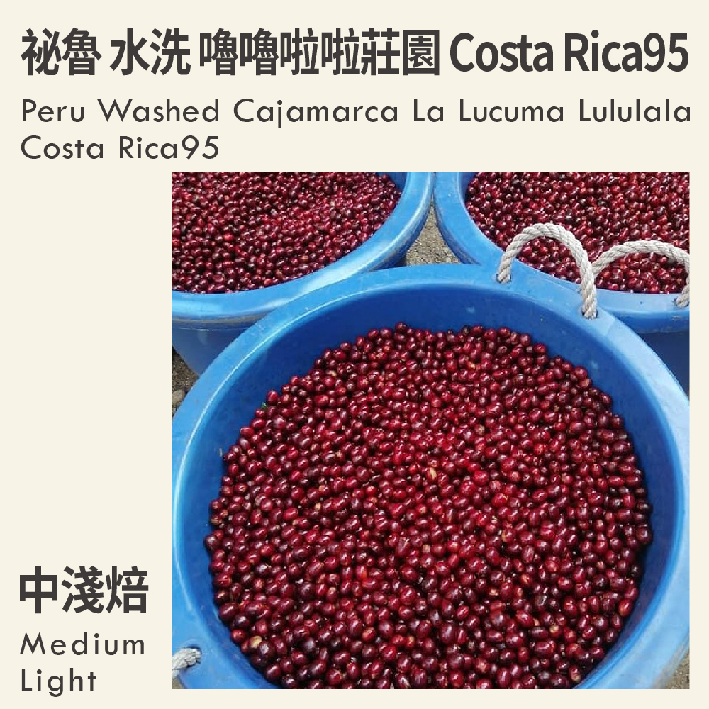 祕魯 水洗 卡瑪哈卡 嚕嚕啦啦莊園 Costa Rica95