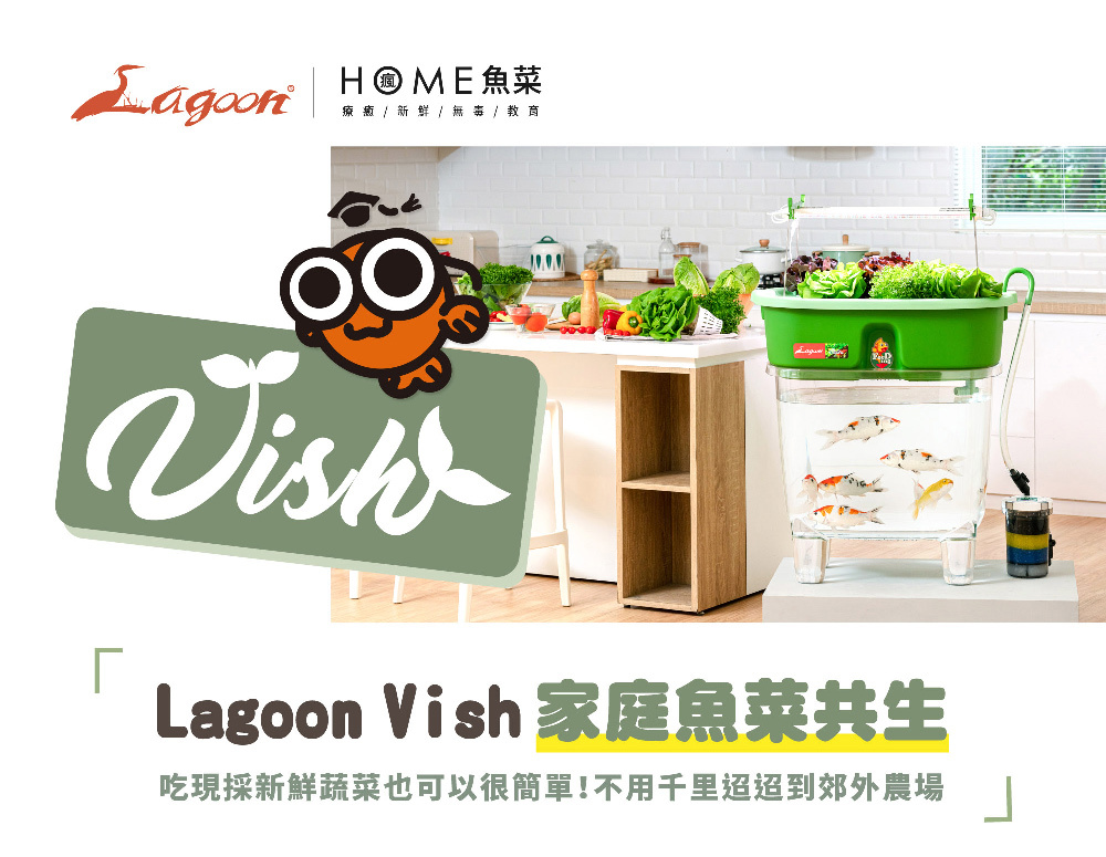Lagoon Vish 家庭魚菜共生系統主視覺，在家打造結合養魚與種菜的綠色循環生活