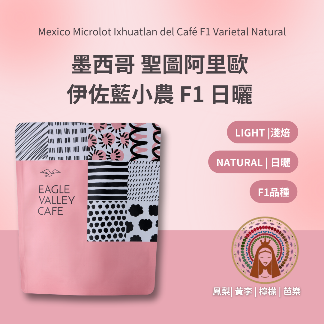墨西哥 聖圖阿里歐 伊佐藍小農 F1 日曬 淺焙 咖啡豆