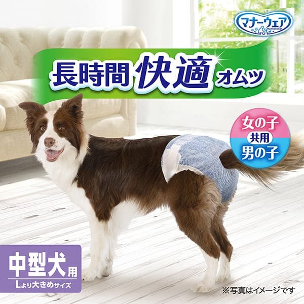 Unicharm 狗狗紙尿褲 男女共用款 中型犬 16片裝 (長時間快適) (腰圍45-70cm)