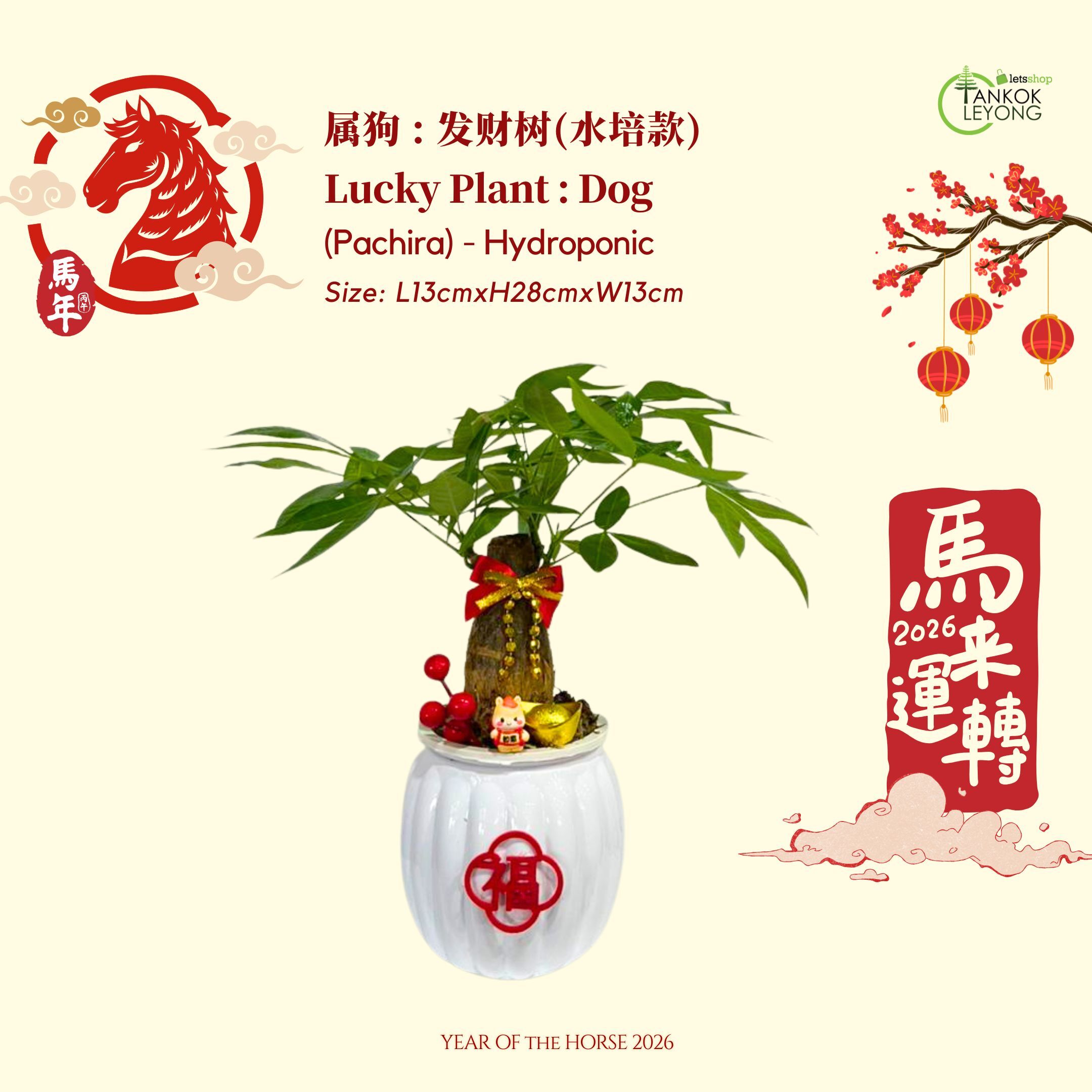 CNY 2026] TKL - 12 Chinese Zodiac with full decoration set [CNY